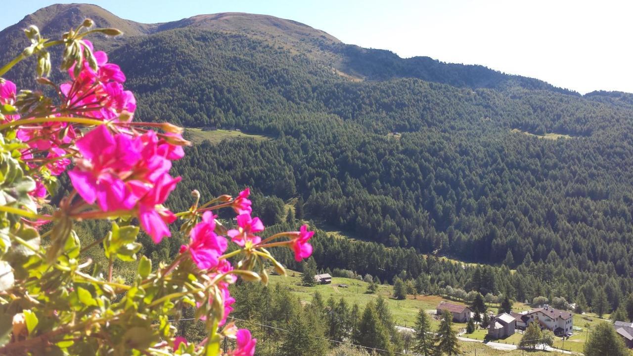 Belvedere Mountain Experience Hotel Monno Eksteriør billede